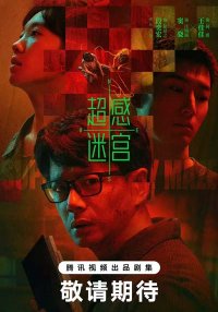 Лабиринт сверхчувственных ощущений (2025)